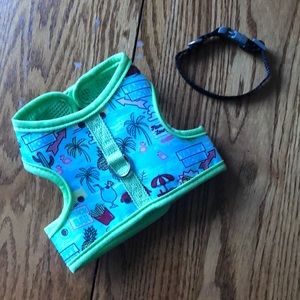 Extra small dog colar and harness